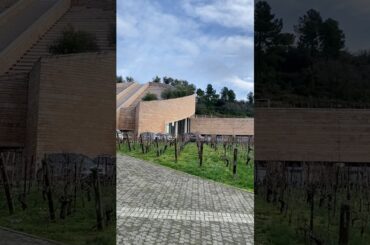 Tasting at and Visiting the Petra Winery in Tuscany's Val di Cornia #winery #costatoscana #dcamw