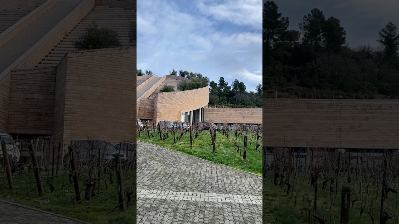 Tasting at and Visiting the Petra Winery in Tuscany’s Val di Cornia #winery #costatoscana #dcamw Tasting at and Visiting the Petra Winery in Tuscany's Val di Cornia #winery #costatoscana #dcamw