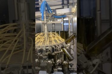 Bottling Line at the Petra Winery in Tuscany - Bottling The Petra Cuvee #bottlingline #bottlingwine