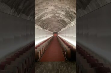 Barrel Hall in the Spectacular Petra Winery in Tuscany #winerylovers #winerytour #winey #tuscany
