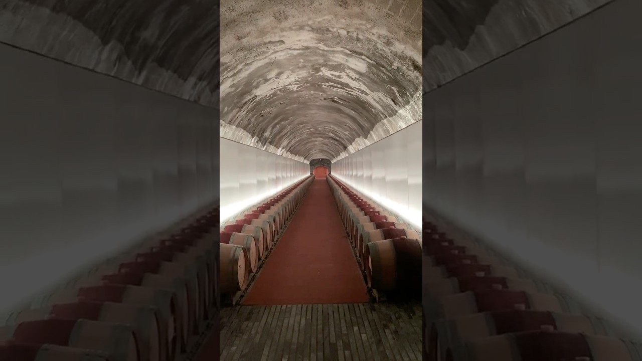 Barrel Hall in the Spectacular Petra Winery in Tuscany #winerylovers #winerytour #winey #tuscany Barrel Hall in the Spectacular Petra Winery in Tuscany #winerylovers #winerytour #winey #tuscany