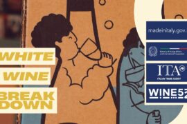 Classic Italy White Wine Breakdown