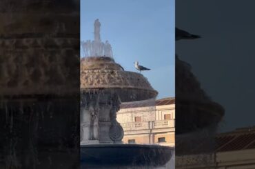 Vatican City ! #food #rome #vlog #travel #trip #europe #italy #shopping #vacation #ancientrome