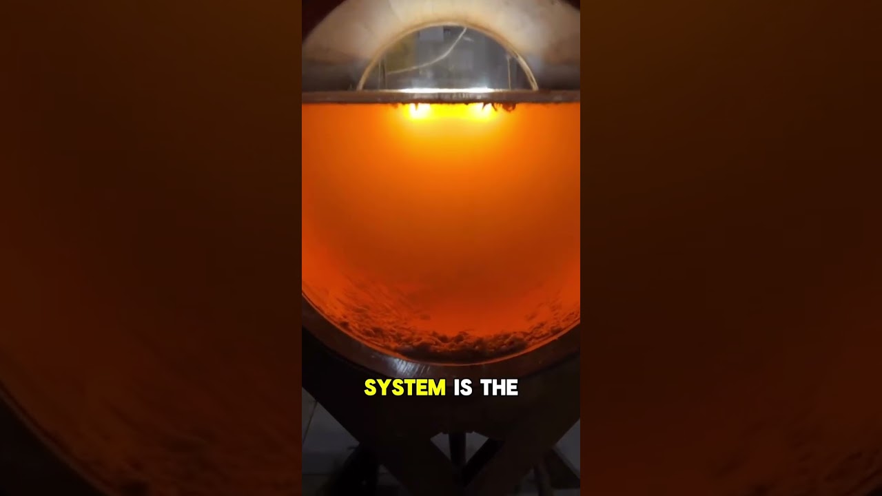 Is sherry the most underrated wine in the world? ๐ท With 3,000 years of winemaking history in Is sherry the most underrated wine in the world? ๐ท With 3,000 years of winemaking history in