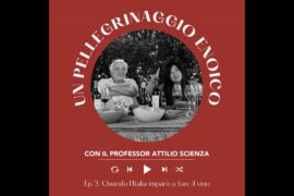 Ep. 2613 Ep 3: Quando l’Italia imparò a fare il vino | Pellegrinaggio Enoico con Attilio Scienza