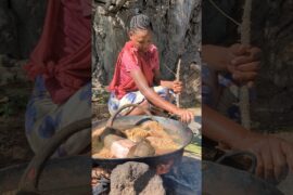 cooking monkey #news #shorts #italy #colombia #france #mexico #portugal #africa