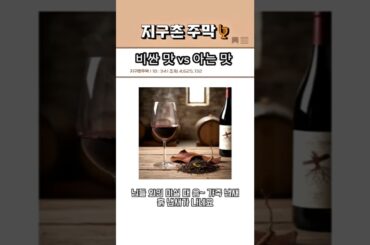 🍷 솔직히 50만 원짜리보다 2만 원짜리가 맛있는 이유 (feat. 구세계 vs 신세계)