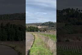 Petra Winery a View from the Road #wineryvisit #winery #winerytour #toscana #toscanacosta