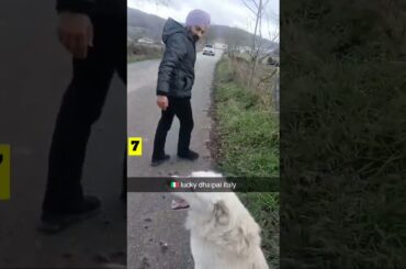 #italy #food #italiangetaway #traveldiaries #vlogs #automobile #travelvideos