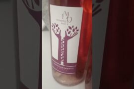 Piccola cantina, grande sogno 🍇#vino #winelover #vignetopali #vinorosé #vinorosso #italianwine #fpy