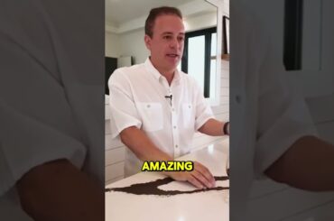 Ornellaia’s Second Wine: Luxury Tuscan for Less