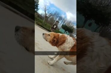 #italy #food #italiangetaway #traveldiaries #vlogs #cooking #travelvideos #foodie