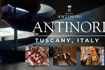 #1 Vineyard in the World: ANTINORI Winery Tour & Rinuccio 1180 Lunch | TUSCANY