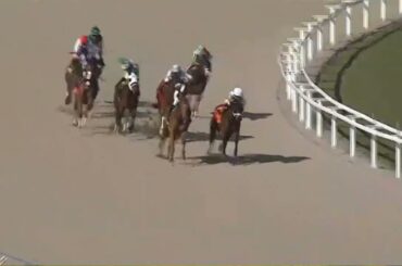 R7 Gulfstream 19 Feb 2026