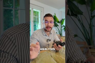 Sagrantino Grape Variety Explained 🍇🍷🇮🇹