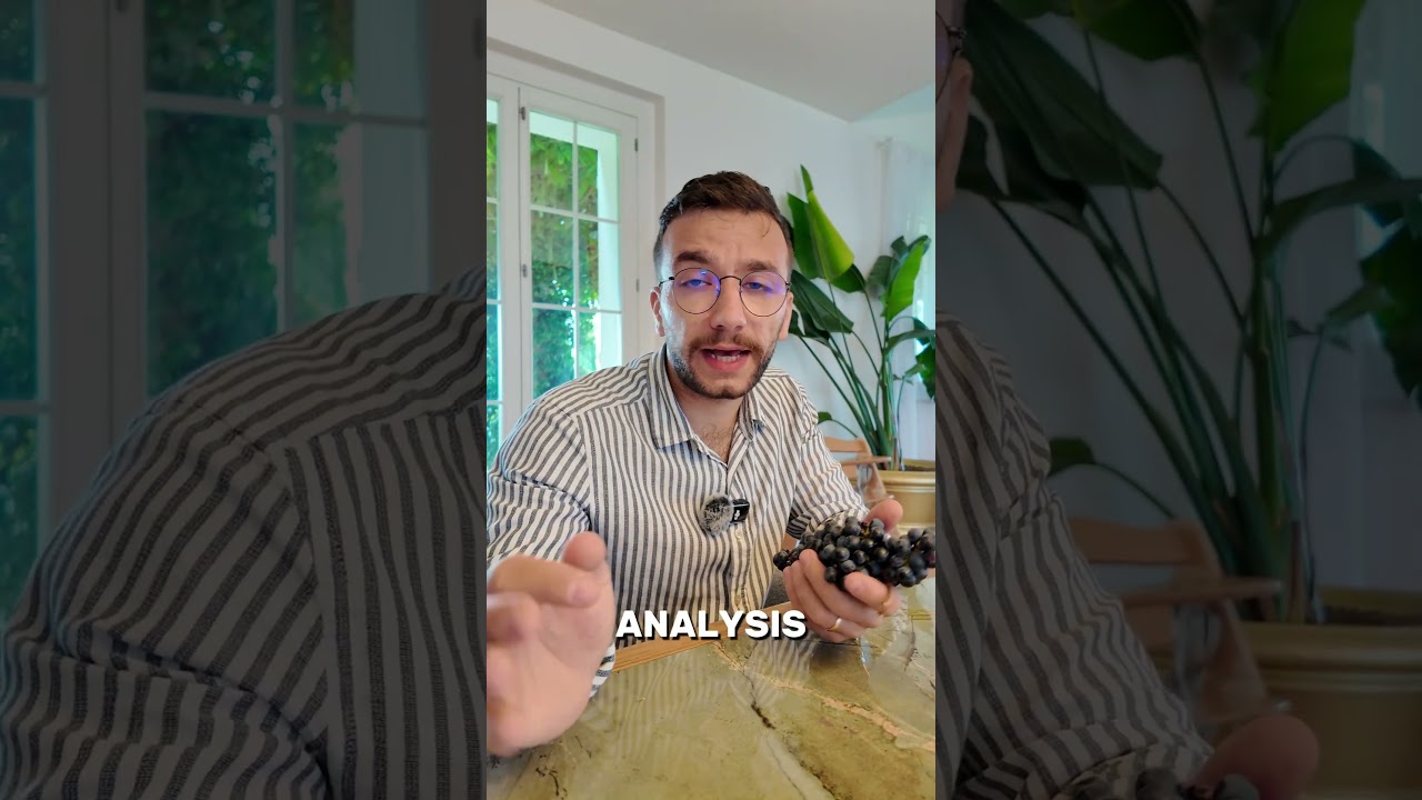 Sagrantino Grape Variety Explained 🍇🍷🇮🇹 Sagrantino Grape Variety Explained 🍇🍷🇮🇹