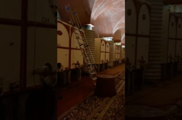 Petra Winery - Using Cement Tanks for Fresher Wines