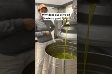 Why does our olive oil taste so good?