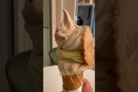 Gelato in Modena #gelato #modena #italianfood #italy