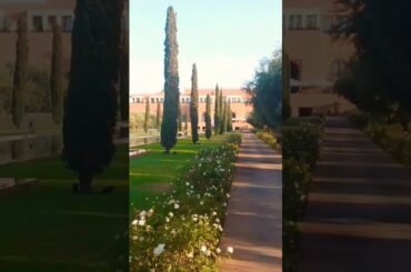 #explore #support #subscribe #travel #shorts