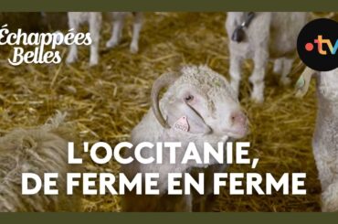 L'Occitanie, de ferme en ferme - Échappées belles