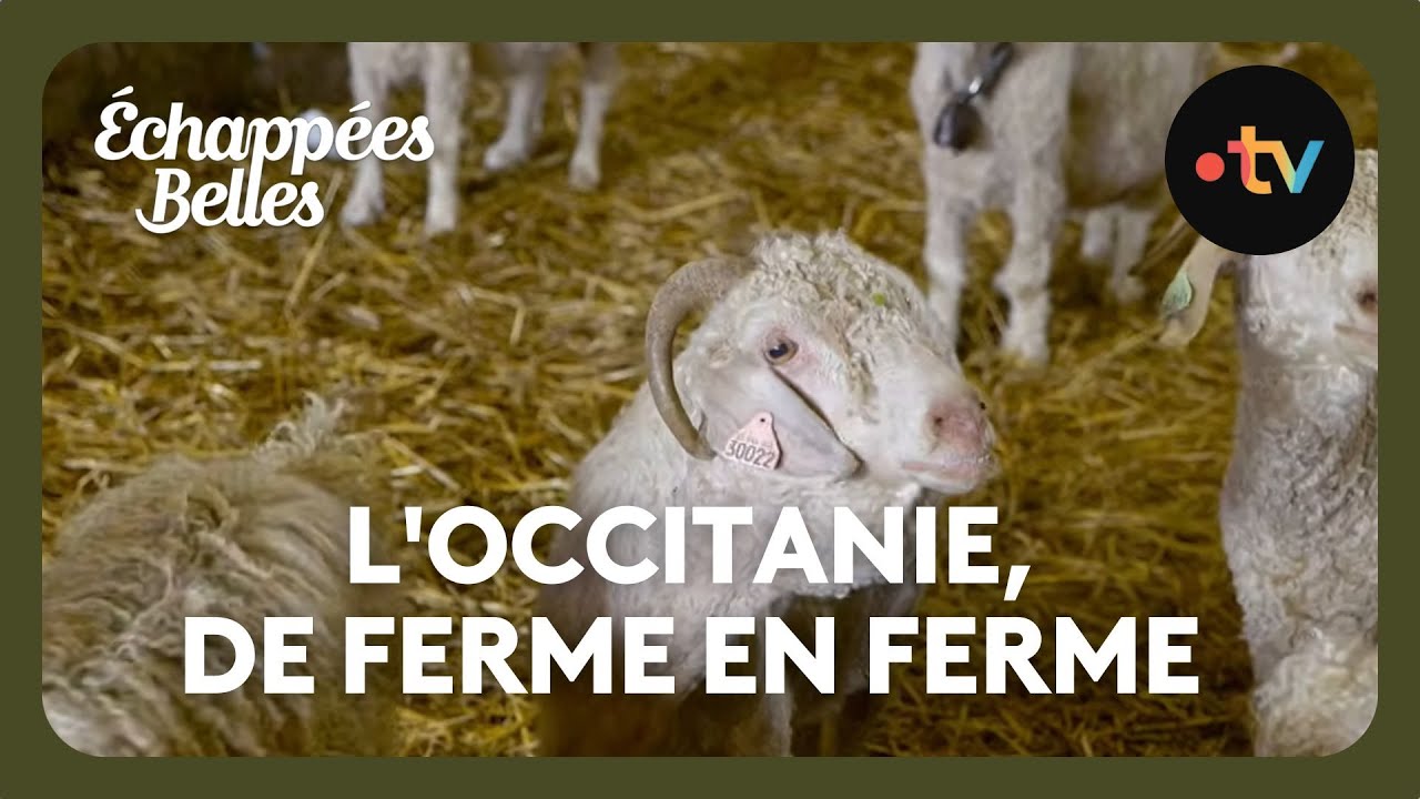 L’Occitanie, de ferme en ferme – Échappées belles L'Occitanie, de ferme en ferme - Échappées belles