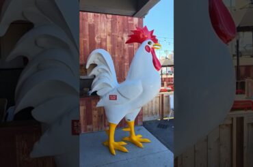 The Crack Shack | Chicken in Pacific Beach San Diego, California