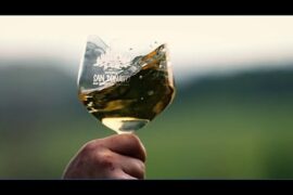 Golden Wine of San Gimignano | Journey to Italy