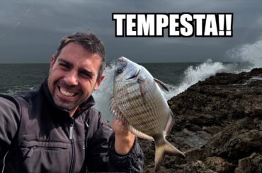 Pesco i SARAGHI nella TEMPESTA!