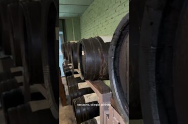 L’acetaia di Massimo Bottura #food #acetobalsamico #modena