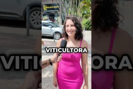 Qual a sua profissão? 🍷 #entrevista #vinho #vinhos #italia #vinhositalianos