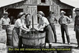 Italian Female POWs in California Were Shocked Cowboys Let Them Make Wine on the Ranch