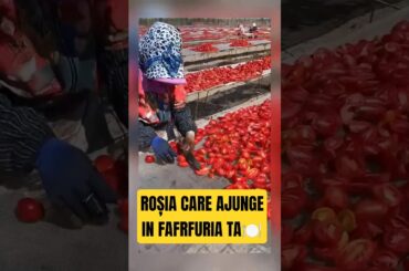 Le usucă la SOARE?! ☀️🍅 De ce Italienii nu aruncă NICIODATĂ roșiile moi #food #shorts