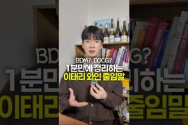 🇮🇹 이태리 와인 줄임말 이 영상으로 정리!