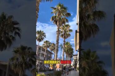 Forte dei Marmi's Hidden Cheap Eats & Drinks That Tourists Miss #ItalyFood #TravelTips