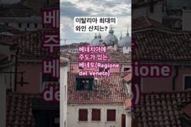 이탈리아의 최대 와인 산지는 어디일까요? 🍷🥂|이탈리아 기행