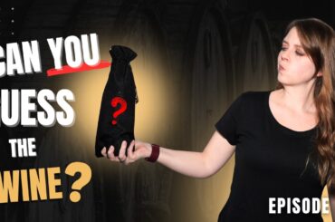 Blind Wine Tasting Challenge: Can You Guess What I'm Drinking? (Ep. #3)