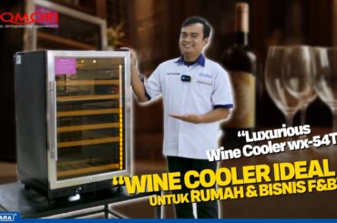 REVIEW TOMORI WX-54T | WINE COOLER MEWAH DENGAN PERFORMA PENDINGINAN STABIL