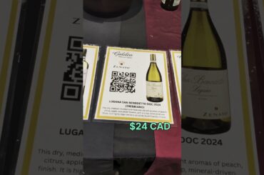 Wine fest 2026 / Zenato Wines