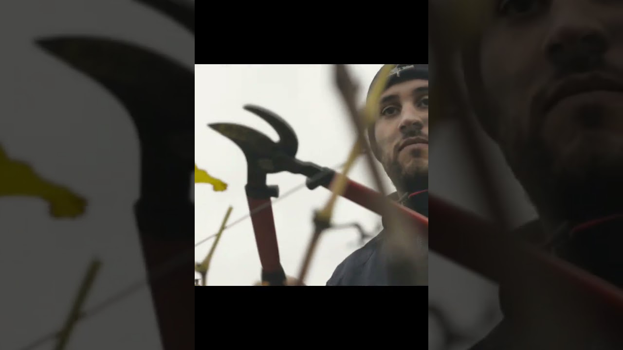 Zaccagnini’s vineyards are alive with tradition and care. Each vine is pruned by hand. Zaccagnini’s vineyards are alive with tradition and care. Each vine is pruned by hand.