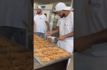 #music #birdisanjiv #food #lifeisbutadream #sidhumoosewala #punjab #italy #india