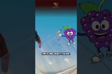 Bibi Graetz colore Valentine