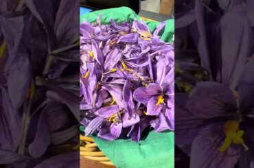 San Gimignano , Italy 🇮🇹 Village