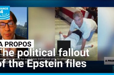 The political fallout of the Epstein files • FRANCE 24 English