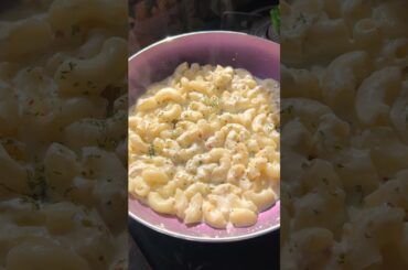 Cheese Macaroni Recipe #shorts #cheese #macaroni #shortvideo #viral #recipe #shortsfeed