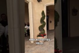 I Didn't Expect This From an Italian Winery #VineyardTour #WineExperience