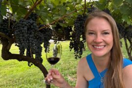 O MELHOR VINHO DO MUNDO - VINÍCOLA SOLIMAN