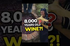 Wine Was Invented Here 8,000 Years Ago 🤯 #didyouknow #unesco #culturalfood #streetfoodworld