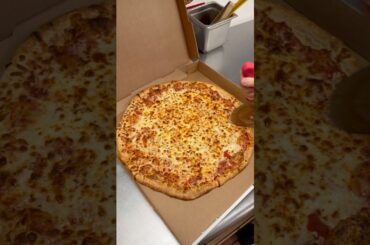 🧀🧀🧀 #cheesepizza #cheese #pizza #pizzalover #pizzatime #food #fastfood #italianfood #mozzarella