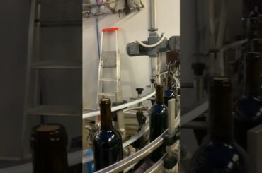 Bottles Coming Off the Bottling Line - at The Petra Winery in Tuscany #igttoscana #toscanacosta